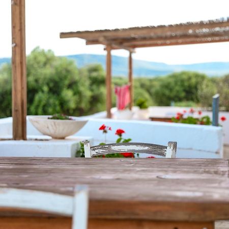 Masseria Piccole Taverne Rosa Marina Exteriér fotografie