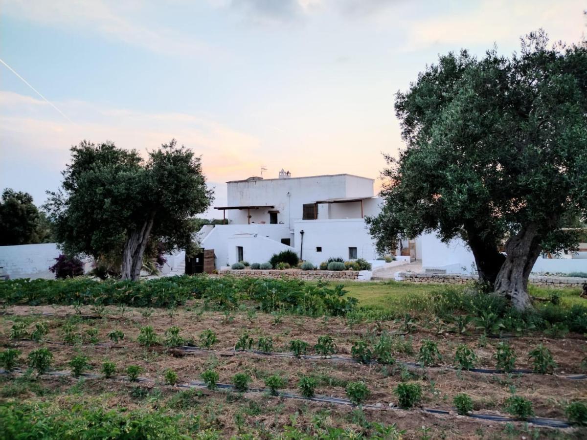 Masseria Piccole Taverne Rosa Marina Exteriér fotografie
