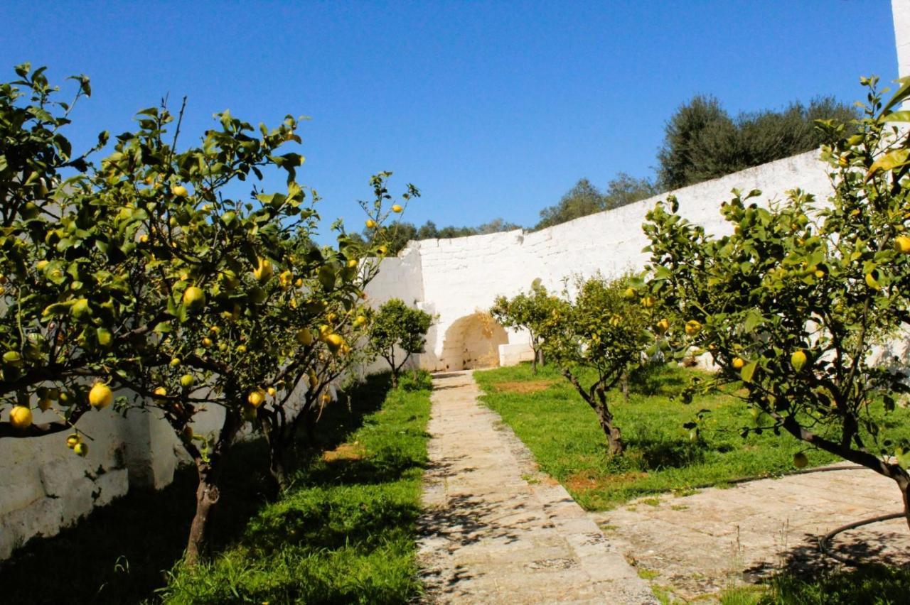 Masseria Piccole Taverne Rosa Marina Exteriér fotografie