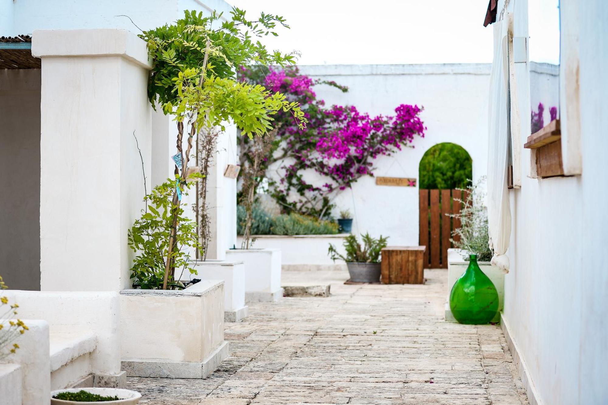 Masseria Piccole Taverne Rosa Marina Exteriér fotografie