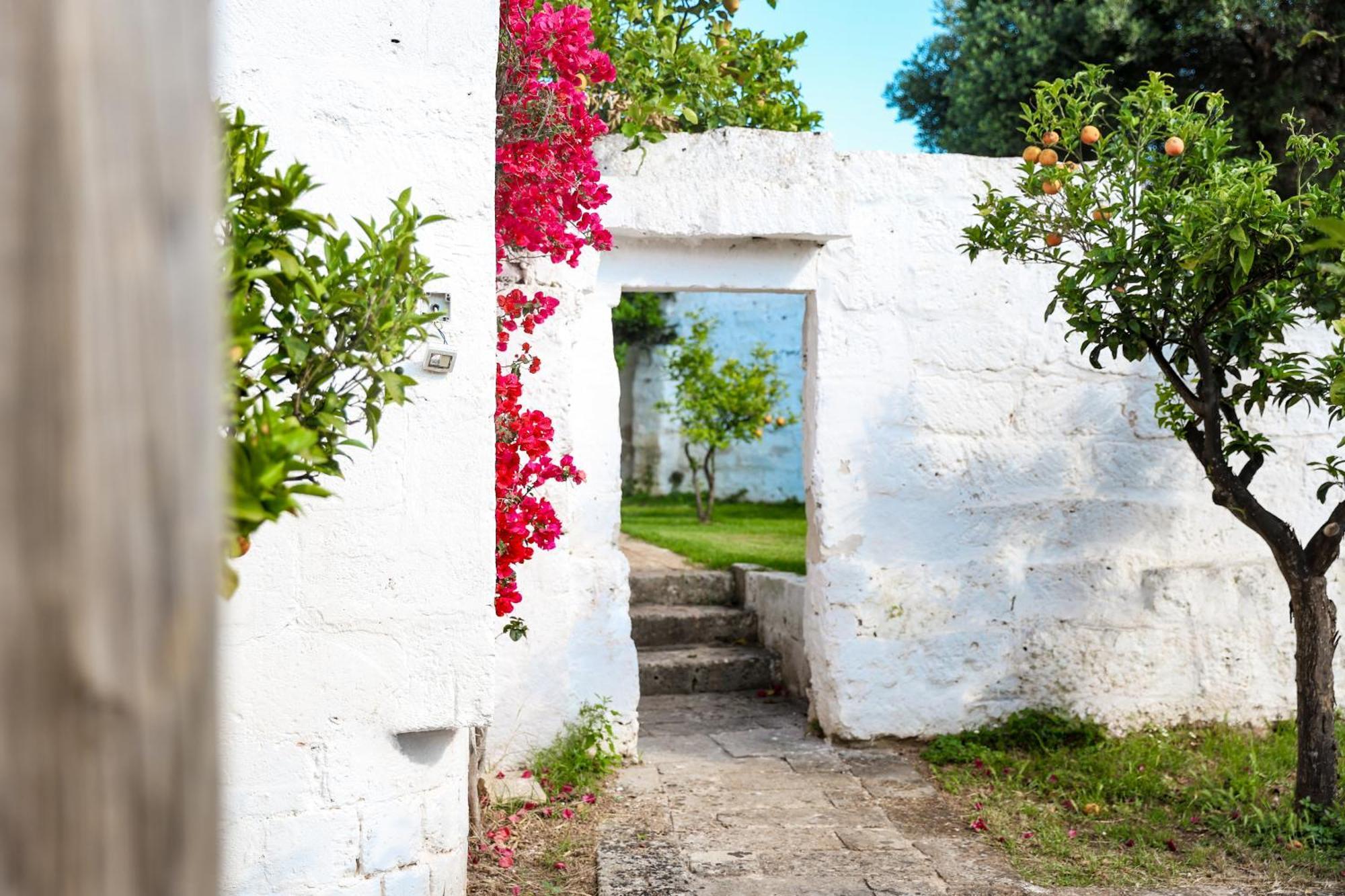 Masseria Piccole Taverne Rosa Marina Exteriér fotografie