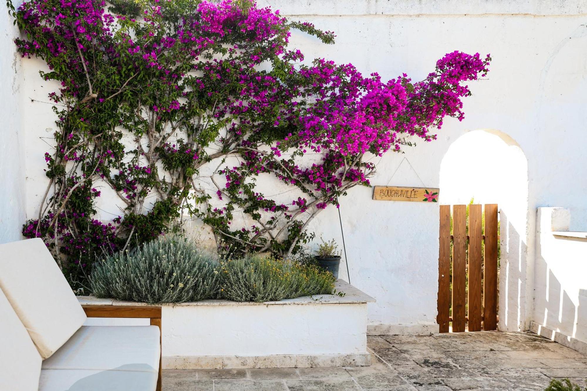 Masseria Piccole Taverne Rosa Marina Exteriér fotografie